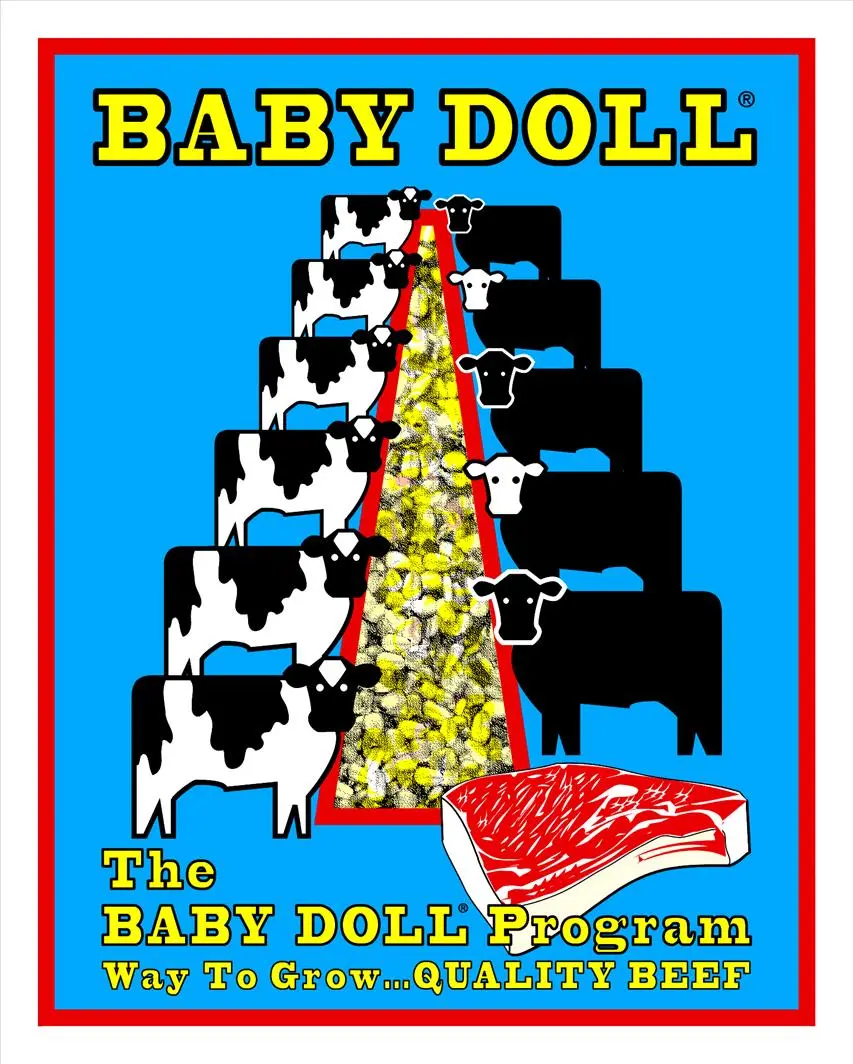 The BABY DOLL Program